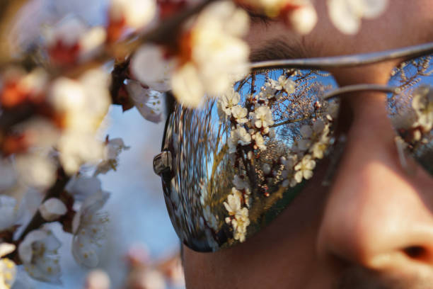 Sunglasses with cherry blossoms reflection. stock photo