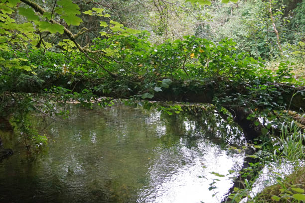 istock Fowleys Falls Rossinver Leitrim 1127967525