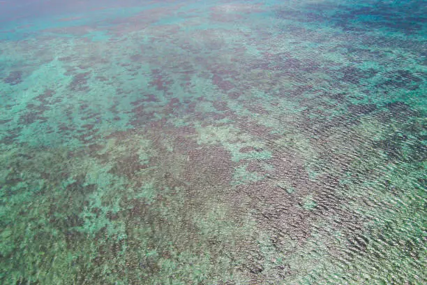 Great Barrier Reef Australia aerial photo with blue/turquoise colours and coral. Off the coast of Queensland in northeastern Australia