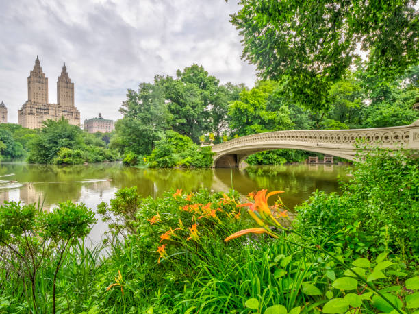 istock Central Park, New York City in spring 1127969615