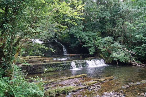 istock Fowleys Falls Rossinver Leitrim 1127969677