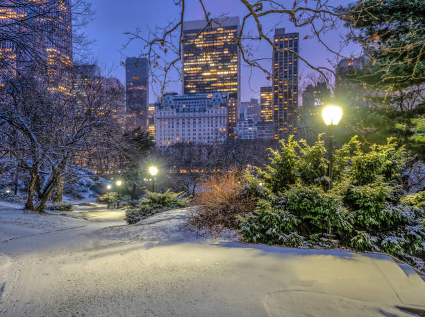 istock Central Park, New York City in winter 1127969685