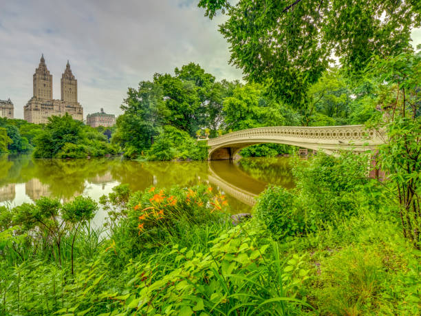 istock Central Park, New York City in spring 1127969798