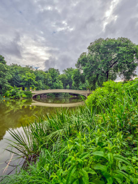 istock Central Park, New York City in spring 1127969910
