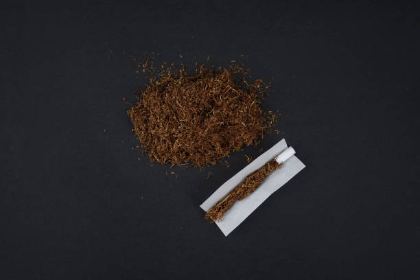 handmade rolling cigarette on black - tobacco cigarette tobacco product rolling imagens e fotografias de stock