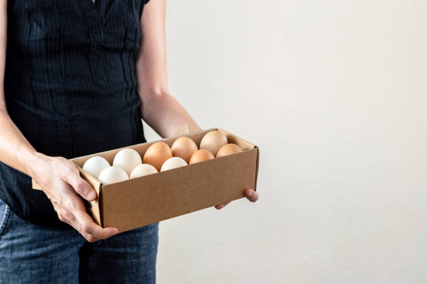 Caucasian woman with black shirt holding a cardboard egg box full of chicken eggs on a white background stock photo
