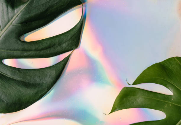 istock Iridescent background. Holographic Abstract soft pastel colors backdrop with monstera tropic leaves. 1127972966