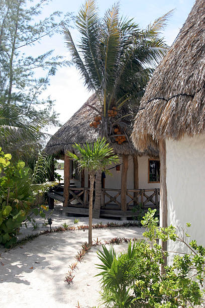 istock Hidden Tropical Resort With Plam Tree In the Summer 112797583