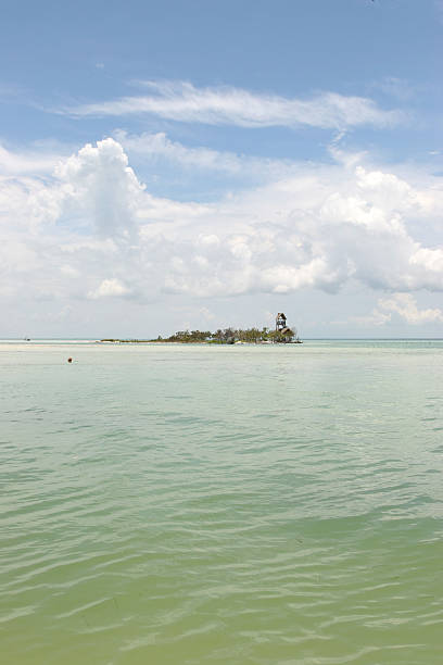 istock Tropical Island and Green Water 112797622