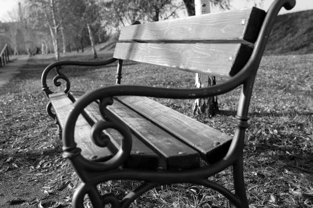 istock Autumn in the park background 1127977864