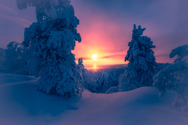 istock Winter landscape from Sotkamo, Finland. 1127979990