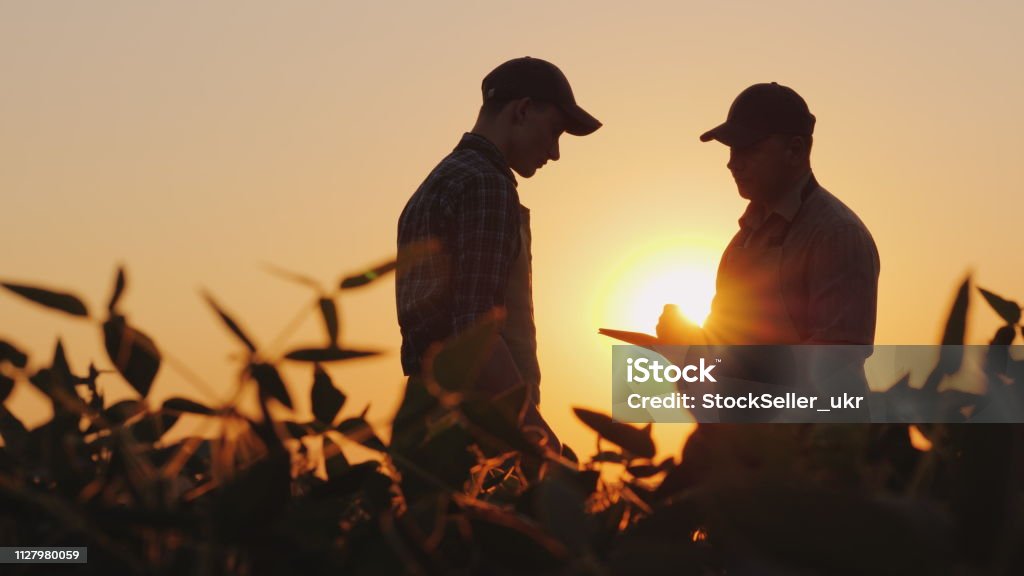 Dos granjeros hablan en el campo. Utilizar una tableta - Foto de stock de Agricultor libre de derechos