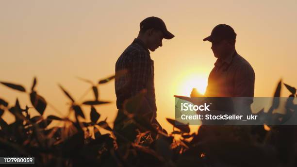 Two Farmers Talk On The Field Use A Tablet Stock Photo - Download Image Now - Farmer, Agriculture, Agricultural Field