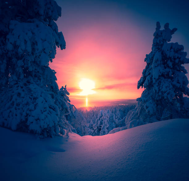 istock Winter landscape from Sotkamo, Finland. 1127980165