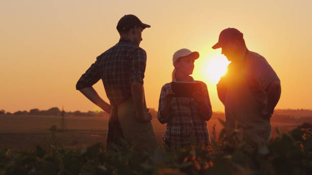 un grupo de agricultores están discutiendo en el campo, uso de una tableta. dos hombres y una mujer. trabajo en equipo en la agroindustria - farmer rural scene laptop computer fotografías e imágenes de stock