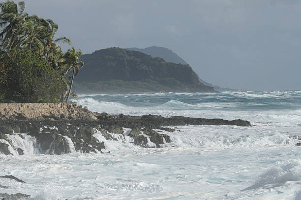 istock Waves crashing into Hawaii coastline mountains in view 112798303