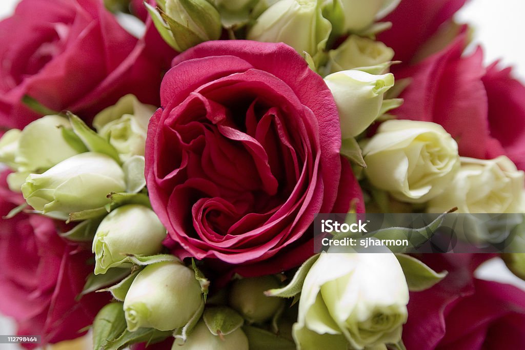 Red & White Rose Bouquet de cérémonie de mariage - Photo de Beauté de la nature libre de droits