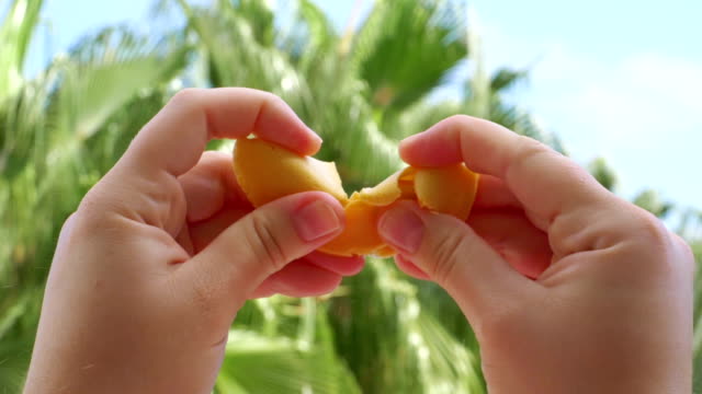 Woman opening chinese fortune cookie with a card inside in slow motion 180fps