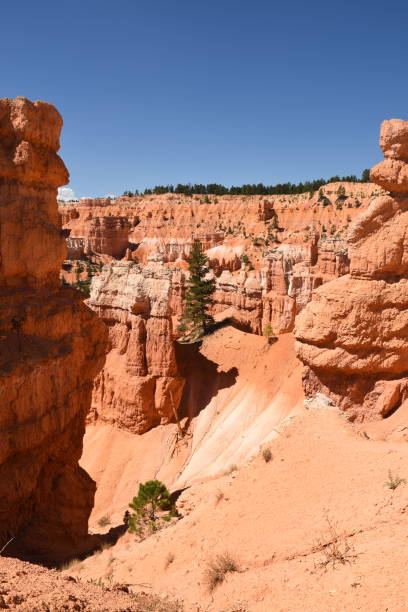 istock landscape on the bryce canyon 1127989852