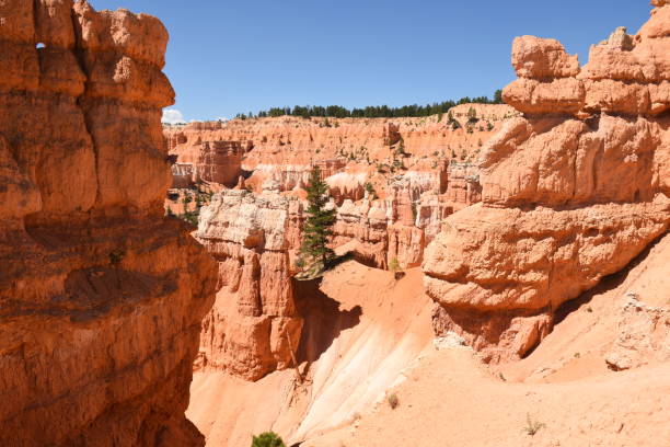 istock landscape on the bryce canyon 1127989861