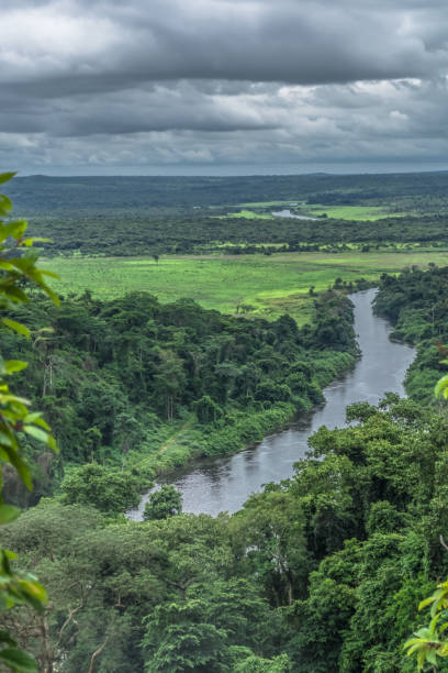 istock View of the Lucala river, with tropical plains 1127997488