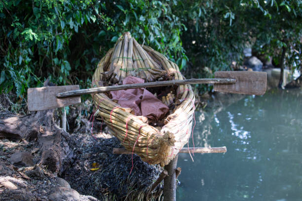 African Reed Boats 1,700+ Reed Boat Stock Photos, Pictures & Royalty-Free Images - iStock