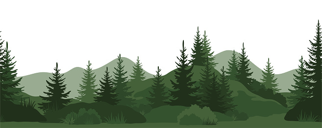 Seamless Horizontal Landscape, Summer Mountain Forest with Fir Trees, Bushes and Grass Green Silhouettes on White Background. Vector