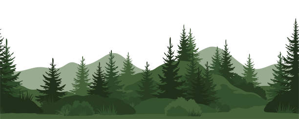 Seamless, Summer Forest Seamless Horizontal Landscape, Summer Mountain Forest with Fir Trees, Bushes and Grass Green Silhouettes on White Background. Vector pine trees silhouette stock illustrations
