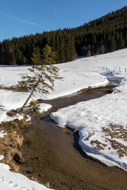 teichalm,winter,styria,austriwinter in nature park named steirisches almenland (Teichalm)  in styria,austria