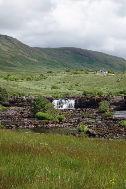 Aasleagh Falls Ireland The Irish waterfall Aasleagh (Irish Eas Liath) is located in northern Connemara and is fed by the river Erriff (Irish An Oirimh). It is located just before the mouth of the river in the Killary Fjord. wildwater stock pictures, royalty-free photos & images