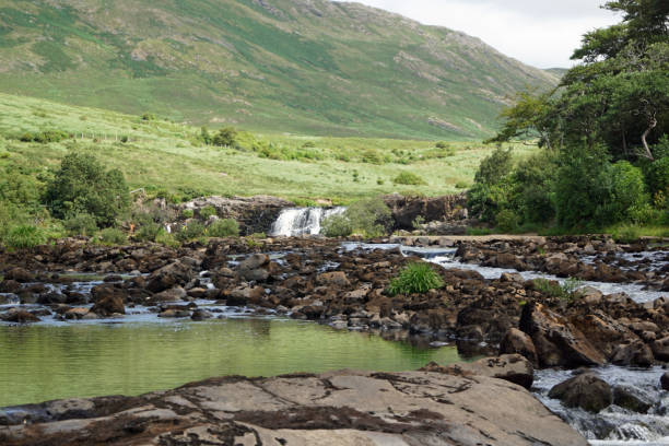 Aasleagh Falls Ireland The Irish waterfall Aasleagh (Irish Eas Liath) is located in northern Connemara and is fed by the river Erriff (Irish An Oirimh). It is located just before the mouth of the river in the Killary Fjord. wildwater stock pictures, royalty-free photos & images