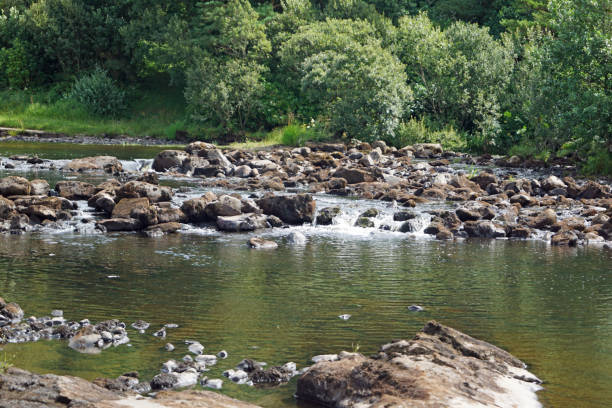 Aasleagh Falls Ireland The Irish waterfall Aasleagh (Irish Eas Liath) is located in northern Connemara and is fed by the river Erriff (Irish An Oirimh). It is located just before the mouth of the river in the Killary Fjord. wildwater stock pictures, royalty-free photos & images