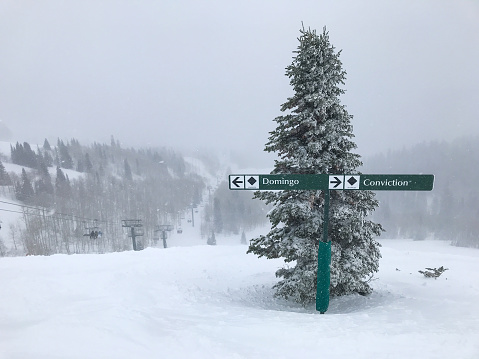 View of two markers of black diamond ski runs during a blizzard.