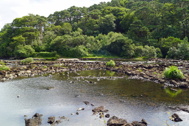 Aasleagh Falls Ireland The Irish waterfall Aasleagh (Irish Eas Liath) is located in northern Connemara and is fed by the river Erriff (Irish An Oirimh). It is located just before the mouth of the river in the Killary Fjord. wildwater stock pictures, royalty-free photos & images