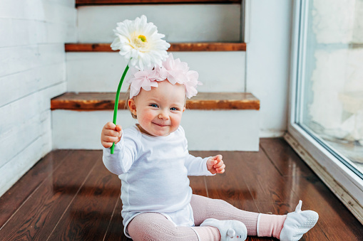 Little baby girl wearing spring wreath siting on floor in bright light living room near window and playing with gerbera flowers
