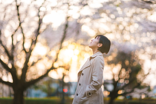 A portrait of a young businesswoman in public park under sakura trees during sunset
