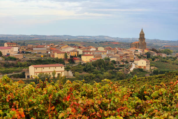 istock Autumn vineyards near Elvillar, Spain 1128014952