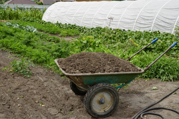 istock Garden wheelbarrow with soil on the vegetable garden 1128015085