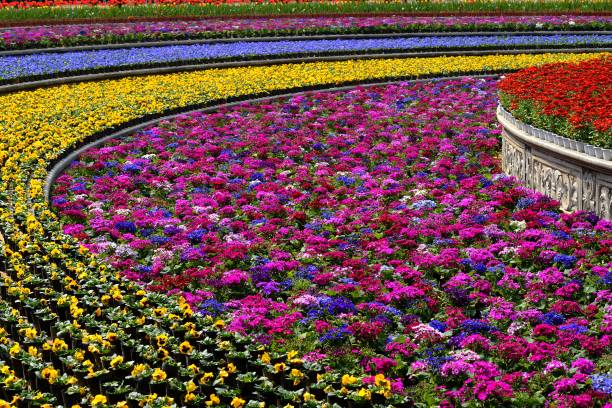 istock Beautiful patterns of tulips and flowers 1128015688