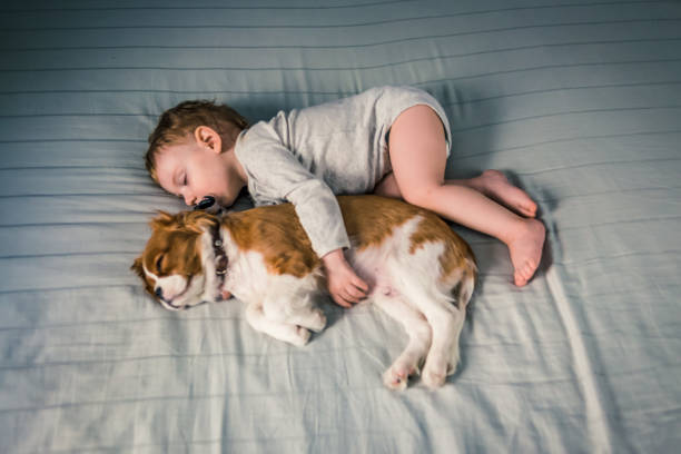 istock two baby friends having a nap 1128016119
