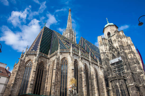 el hermoso antiguo saint stephen cathedral construido en 1160 situada en stephansplatz en viena - roof roof tile rooster weather vane fotografías e imágenes de stock