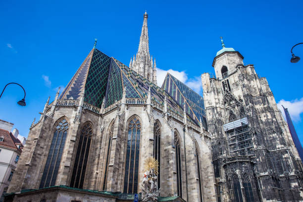 el hermoso antiguo saint stephen cathedral construido en 1160 situada en stephansplatz en viena - roof roof tile rooster weather vane fotografías e imágenes de stock
