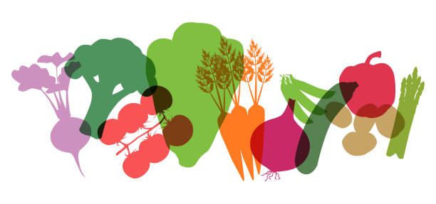 ilustrações de stock, clip art, desenhos animados e ícones de supermarket vegetables - alimentação saudável ilustrações