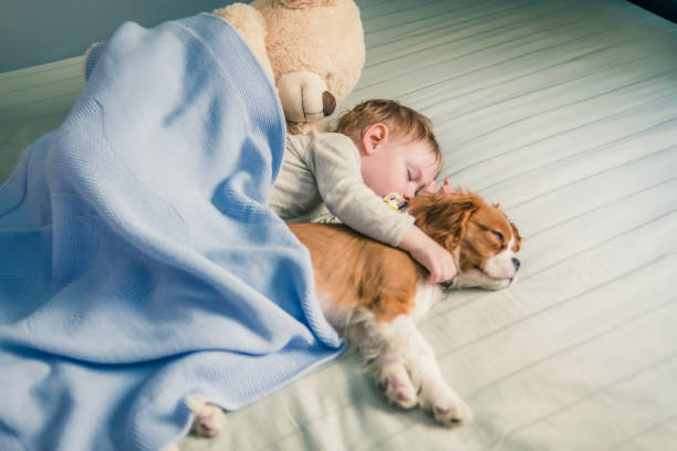 istock baby taking a power nap with his best friend 1128019127
