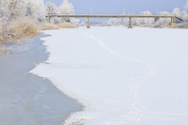 Winter landscape of a frozen river and trees on the shore covered with frost on a sunny day.