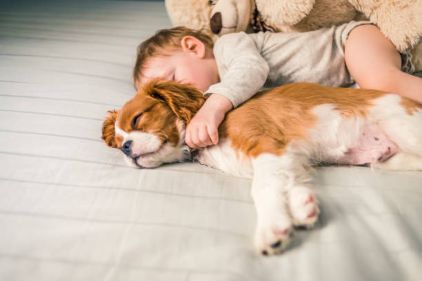 istock baby taking a power nap with his best friend 1128019631