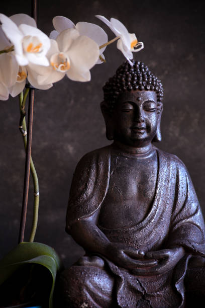 istock Buddha in meditation with orchid on dark background 1128023267