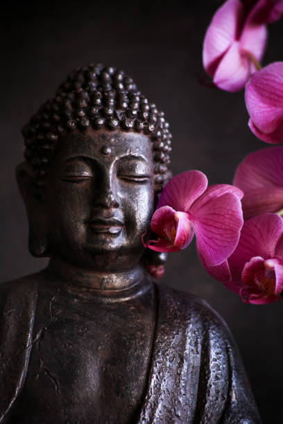 istock Buddha in meditation with orchid on dark background 1128023317