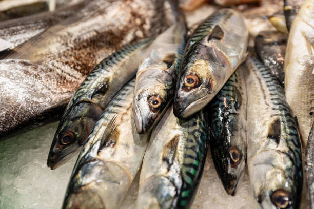 istock Mackerel - Fresh fish on ice at market 1128023347
