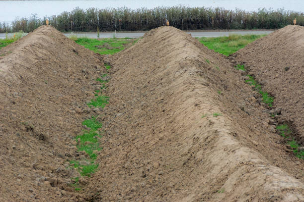 istock heaps of earth next to riverbed 1128023491